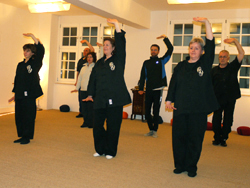 taijiquan