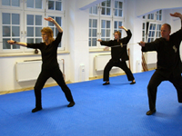 taijiquan