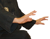 taijiquan